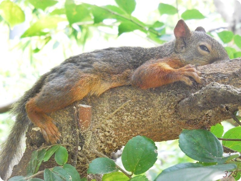 f:id:selmel:20180722232613j:image:w360