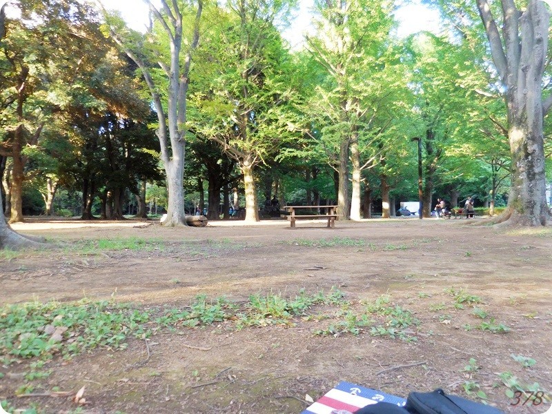 f:id:selmel:20180909104337j:image:w360