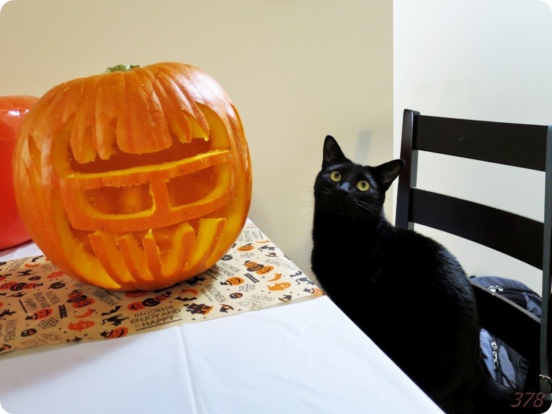 f:id:selmel:20181030221259j:image:w480