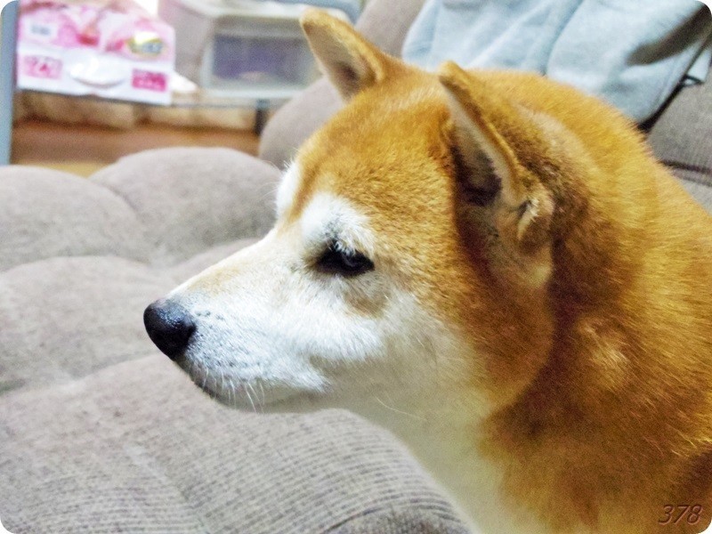 20181202202033