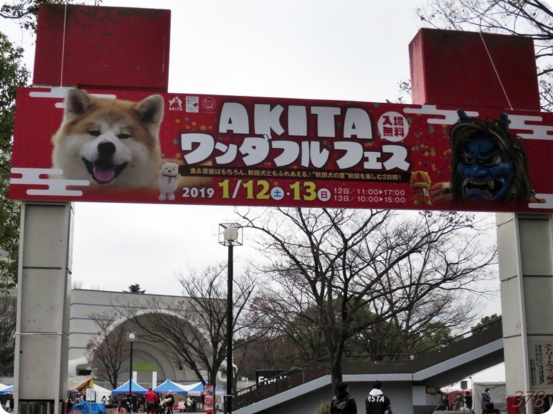 f:id:selmel:20190113231341j:image:w480