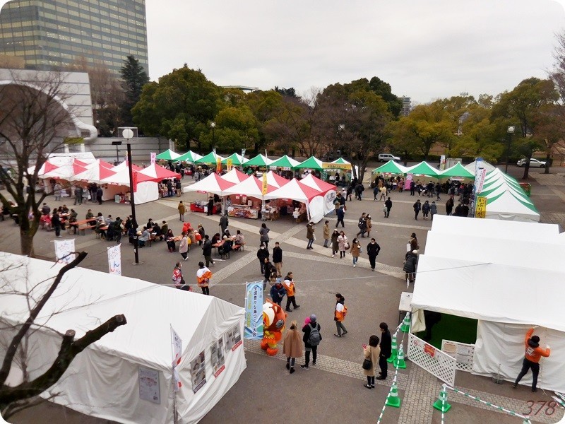 f:id:selmel:20190113231422j:image:w480