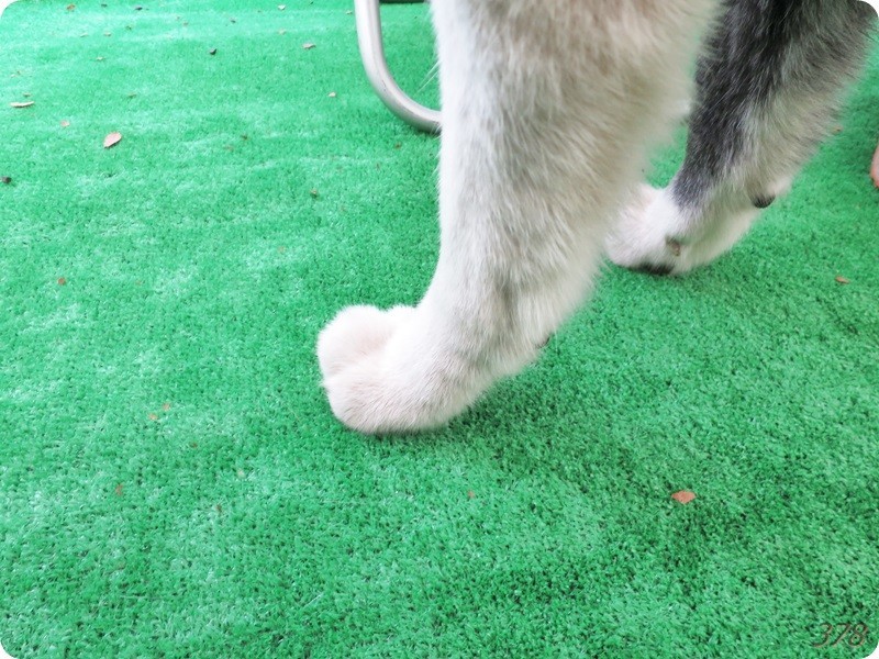 f:id:selmel:20190113231821j:image:w480