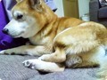 20190119071538