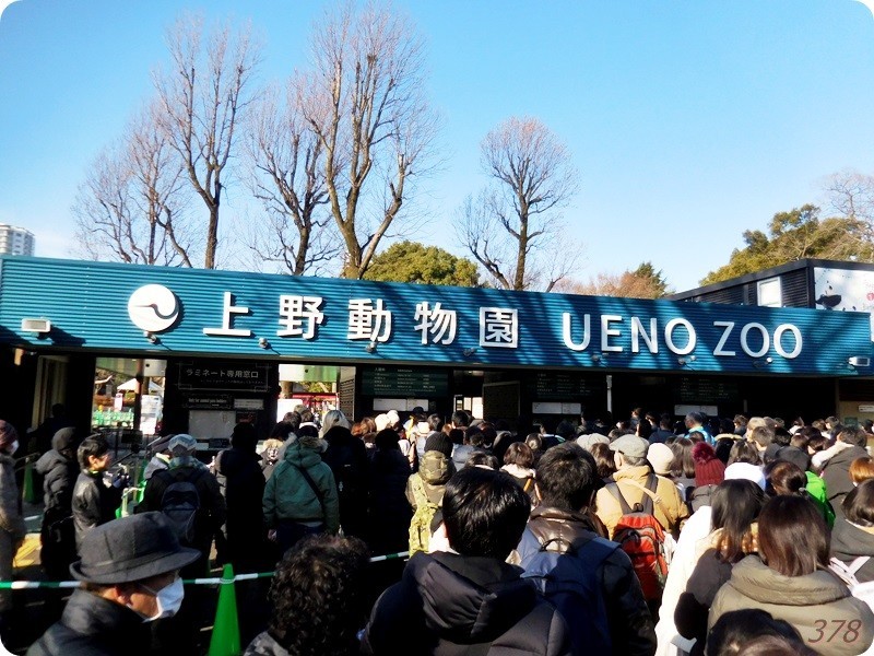 f:id:selmel:20190120213042j:image:w480