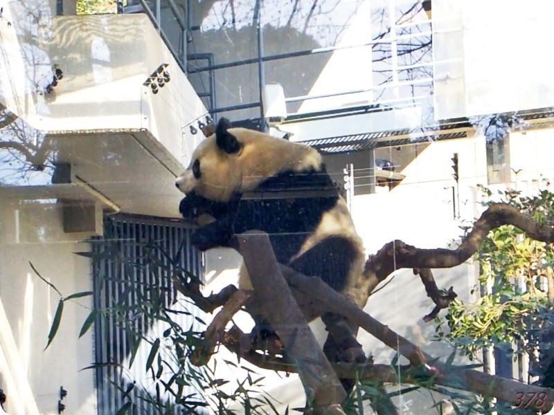 f:id:selmel:20190120213752j:image:w480