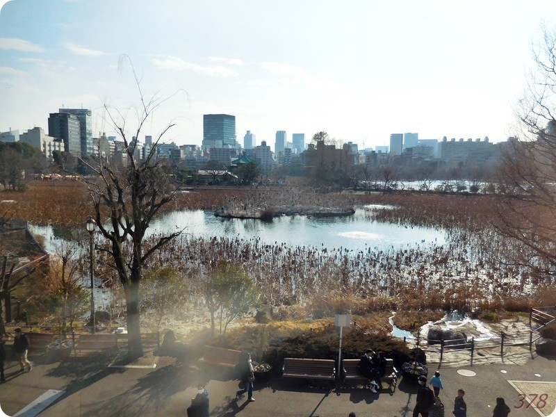 f:id:selmel:20190120220041j:image:w480