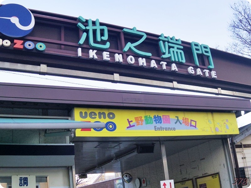 f:id:selmel:20190120221209j:image:w480