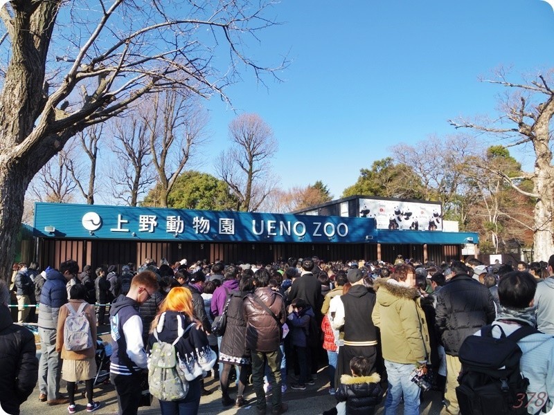 f:id:selmel:20190121232012j:image:w480