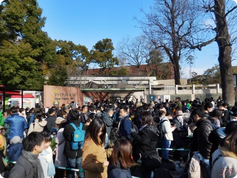 f:id:selmel:20190121232047j:image:w480