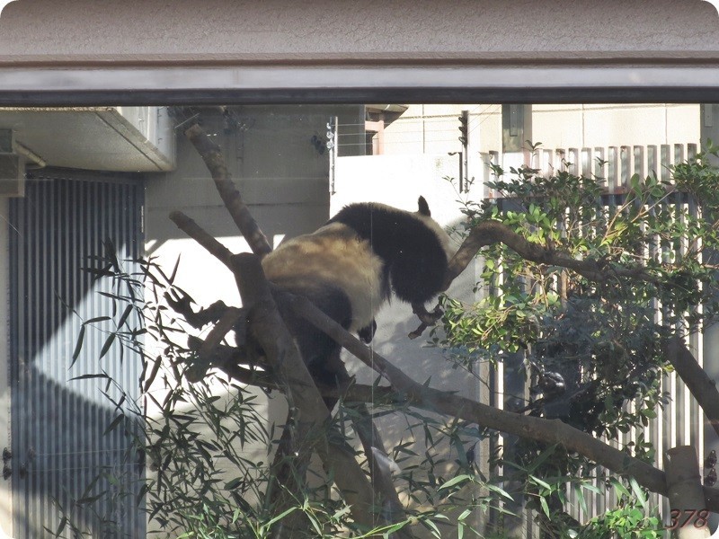 f:id:selmel:20190121232140j:image:w480