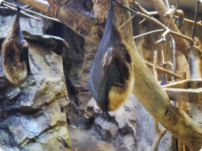 f:id:selmel:20190121233652j:image:w480