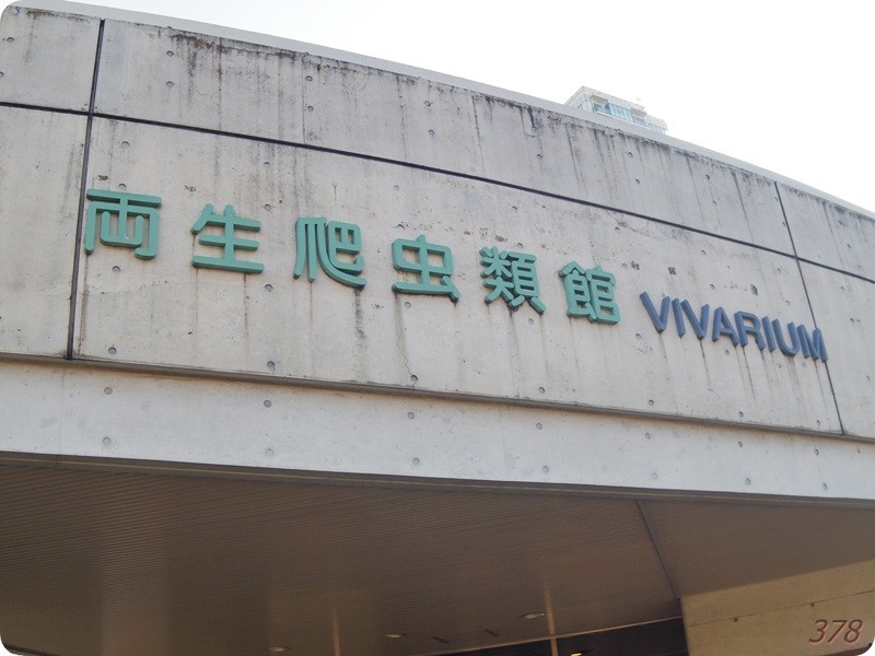 f:id:selmel:20190121234013j:image:w480