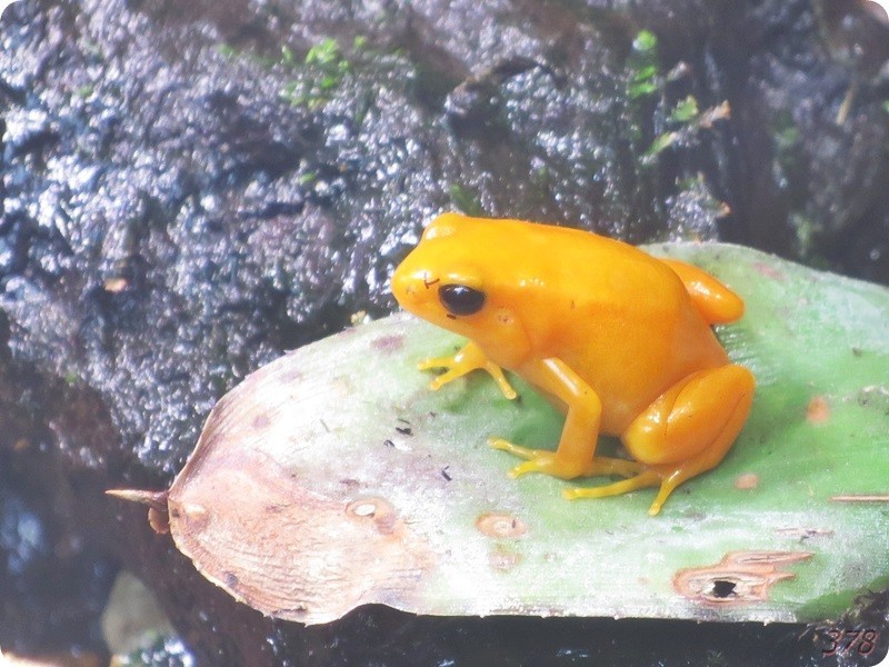 f:id:selmel:20190121234402j:image:w480