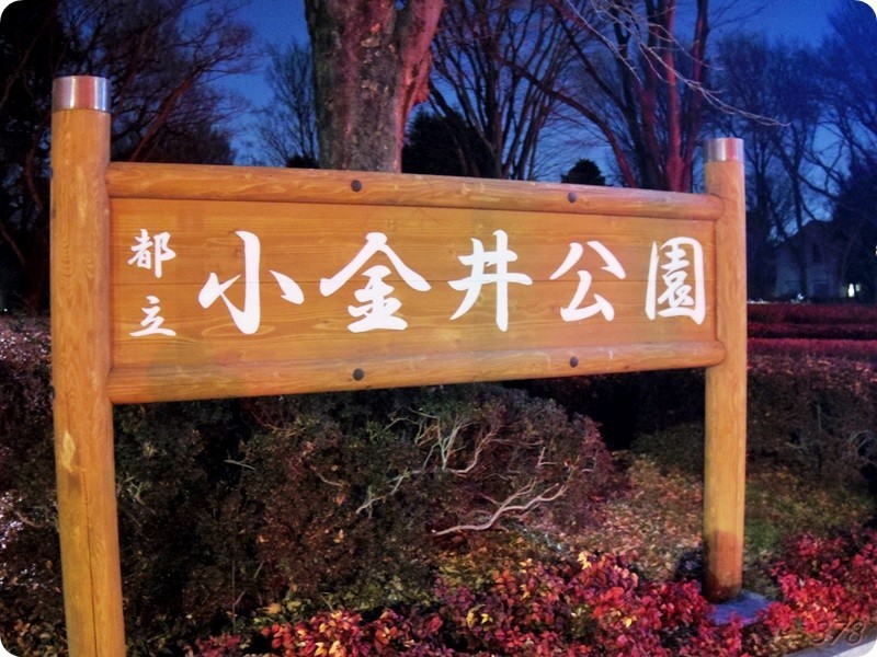 f:id:selmel:20190203190125j:image:w480 f:id:selmel:20190203190125j:image:w480