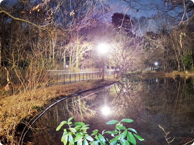 f:id:selmel:20190203190437j:image:w480 f:id:selmel:20190203190437j:image:w480