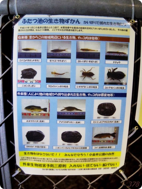 f:id:selmel:20190203190533j:image:w480 f:id:selmel:20190203190533j:image:w480