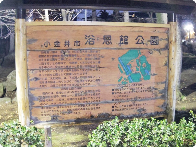 f:id:selmel:20190203232510j:image:w480 f:id:selmel:20190203232510j:image:w480