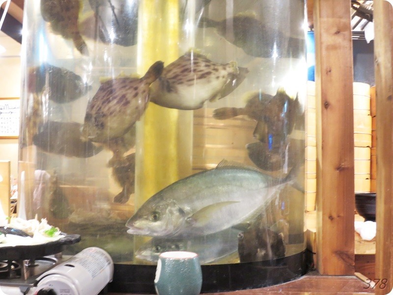 f:id:selmel:20190210183655j:image:w480