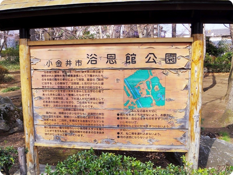 f:id:selmel:20190213211114j:image:w480 f:id:selmel:20190213211114j:image:w480