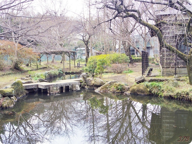 f:id:selmel:20190213211631j:image:w480 f:id:selmel:20190213211631j:image:w480