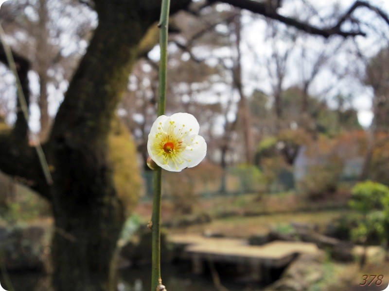 f:id:selmel:20190213211632j:image:w480 f:id:selmel:20190213211632j:image:w480