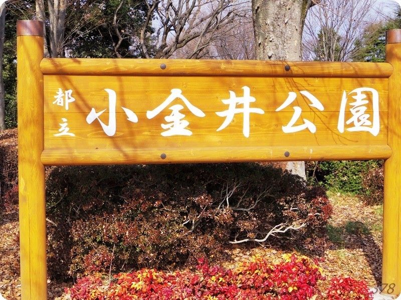 f:id:selmel:20190213211729j:image:w480 f:id:selmel:20190213211729j:image:w480