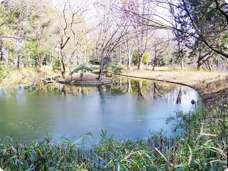 f:id:selmel:20190213212205j:image:w480 f:id:selmel:20190213212205j:image:w480