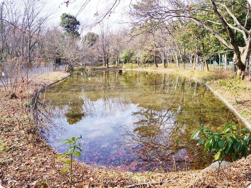 f:id:selmel:20190213212208j:image:w480 f:id:selmel:20190213212208j:image:w480