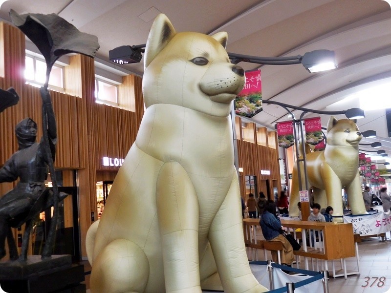 f:id:selmel:20190319224826j:plain f:id:selmel:20190319224826j:plain