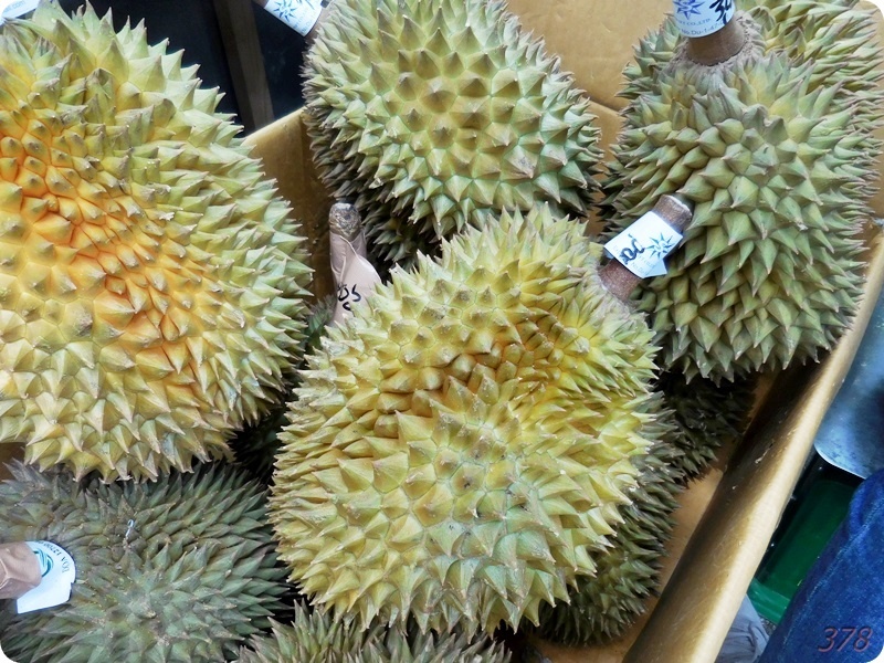 タイフェス2019