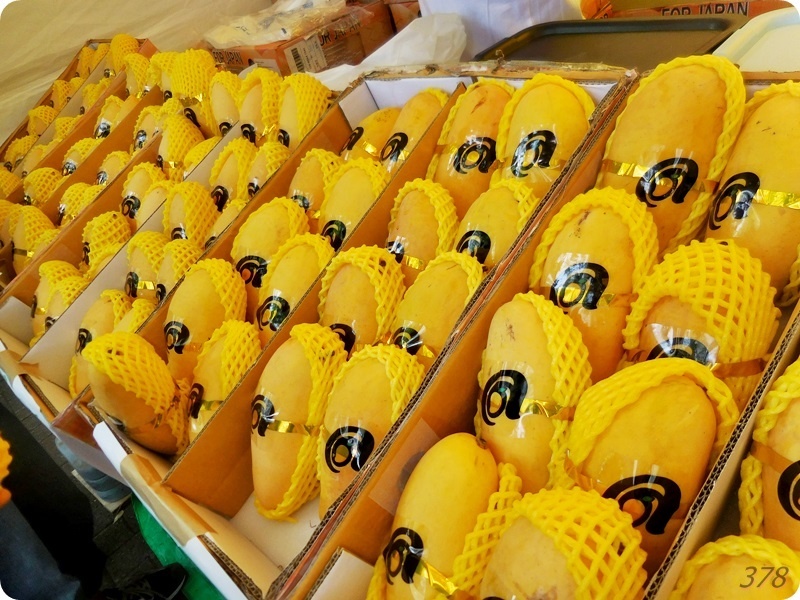 タイフェス2019（ナムドクマイ種）