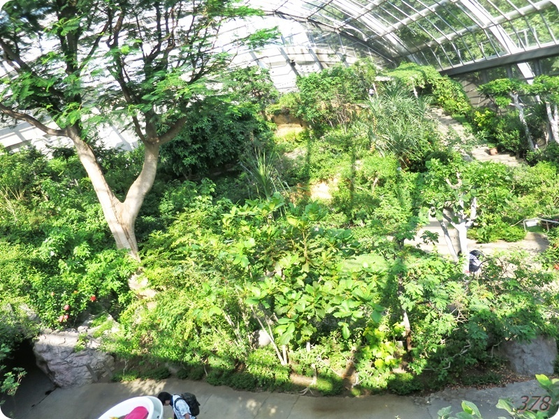 f:id:selmel:20190812115129j:plain:w600 f:id:selmel:20190812115129j:plain:w600