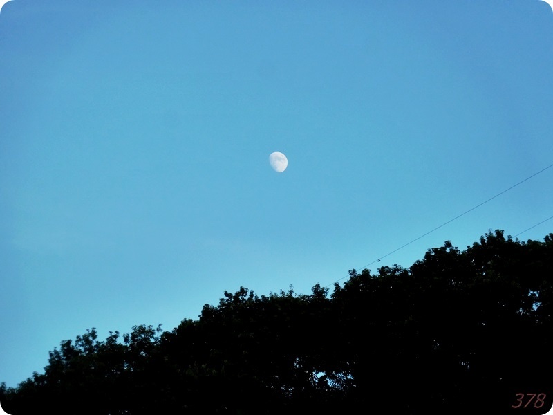 f:id:selmel:20190812123815j:plain:w600 f:id:selmel:20190812123815j:plain:w600
