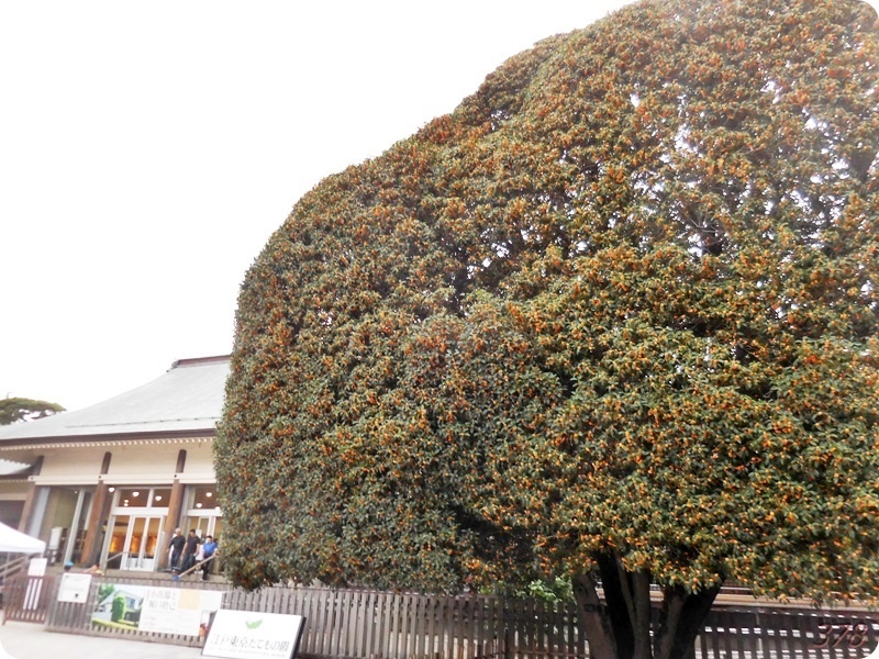 f:id:selmel:20191020210350j:plain:w600 f:id:selmel:20191020210350j:plain:w600