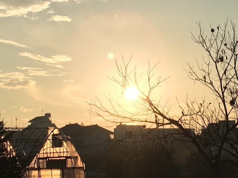 f:id:selmel:20191231073555j:image:w600