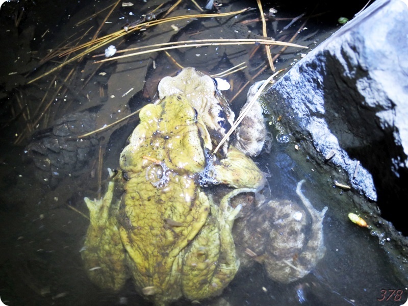 f:id:selmel:20200223105609j:plain:w600 f:id:selmel:20200223105609j:plain:w600