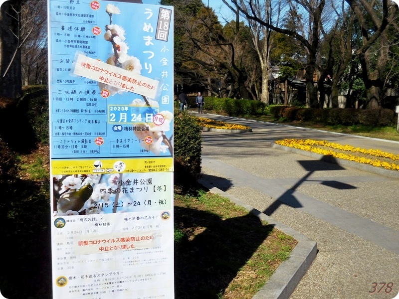 f:id:selmel:20200223200509j:plain:w600