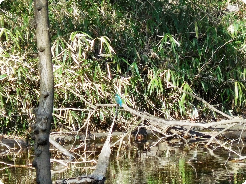 f:id:selmel:20200223201054j:plain:w600