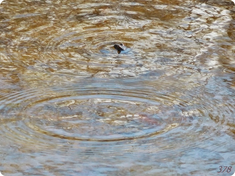 f:id:selmel:20200223201518j:plain:w600