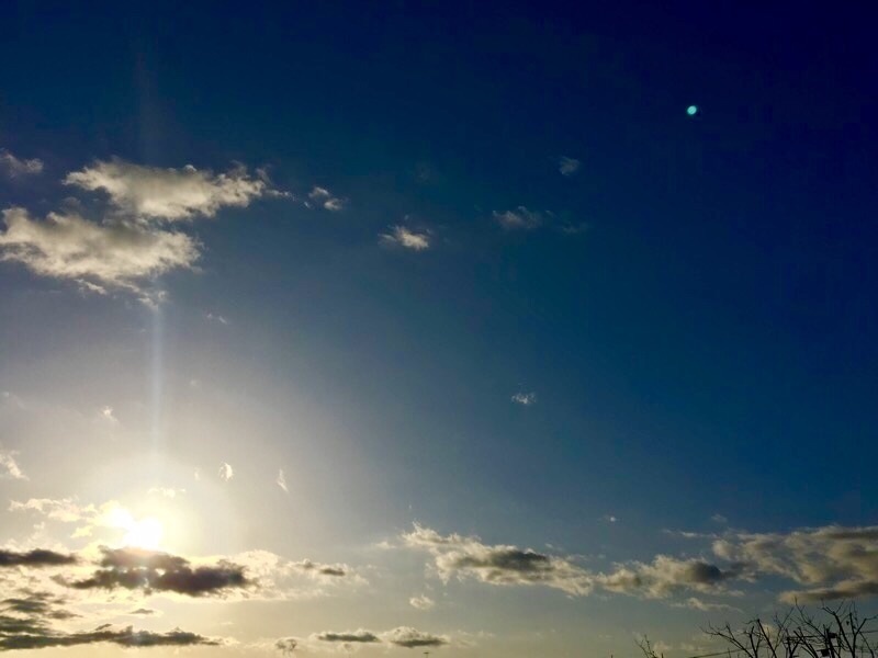 f:id:selmel:20200311082926j:image:w600