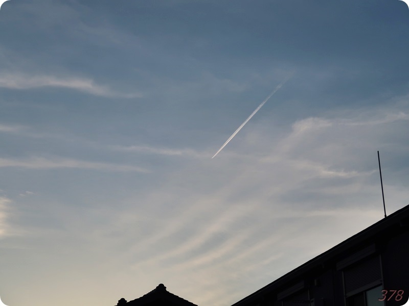 f:id:selmel:20200508163114j:plain:w600 f:id:selmel:20200508163114j:plain:w600