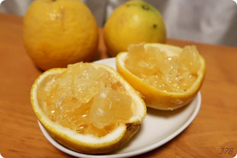 f:id:selmel:20200728232123j:plain:w600