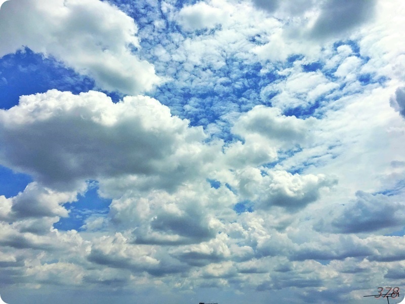 f:id:selmel:20200801133130j:plain f:id:selmel:20200801133130j:plain