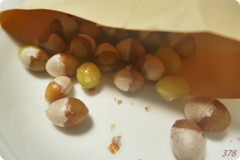 f:id:selmel:20201213230444j:plain