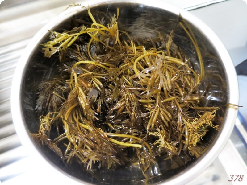 f:id:selmel:20210214171955j:plain