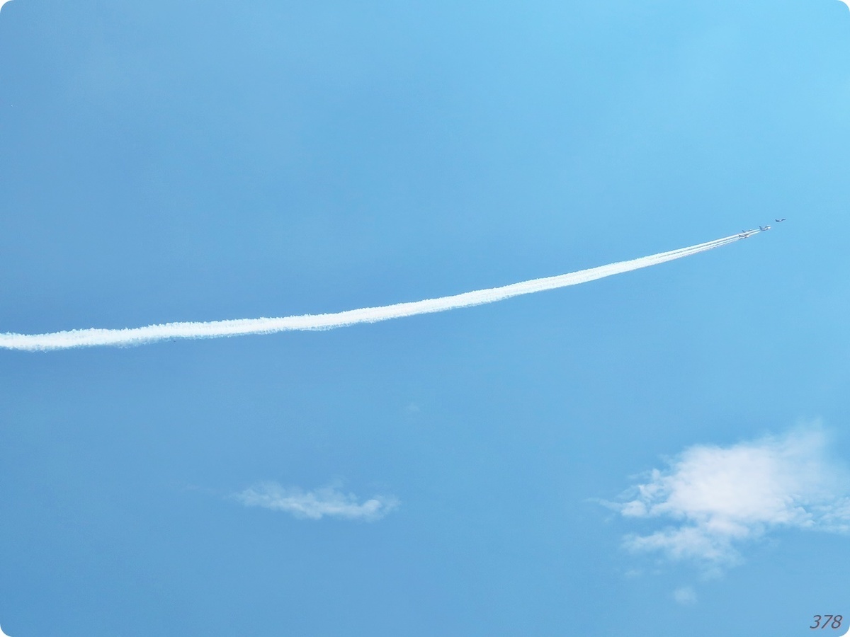 f:id:selmel:20210723190857j:plain