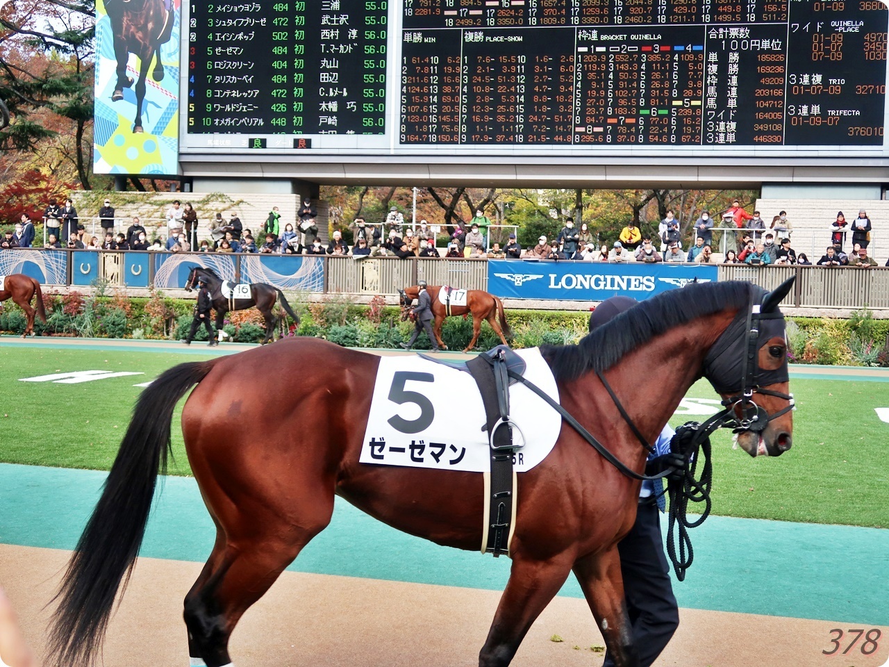 20年ぶりの東京競馬場を楽しんだ1日。 - （新）さんっ、ななっ、はっち