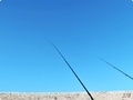 20241014142345