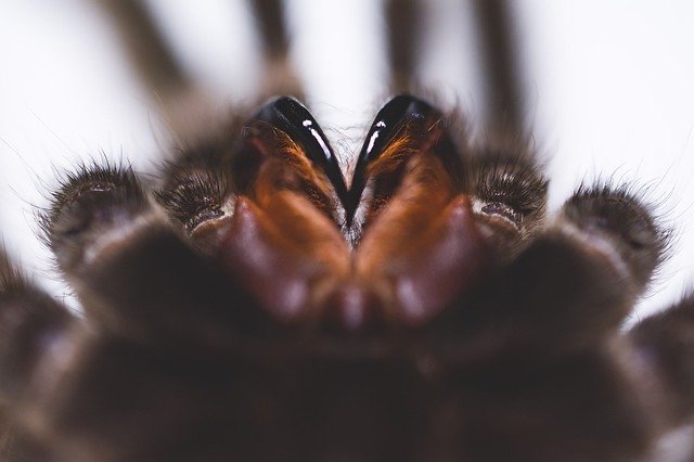 f:id:selol:20210829203539j:plain